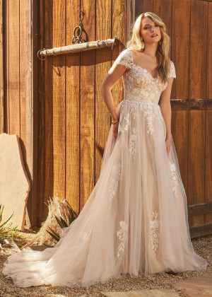 Cap Sleeves Lace Tulle V Back Stunning Wedding Dress